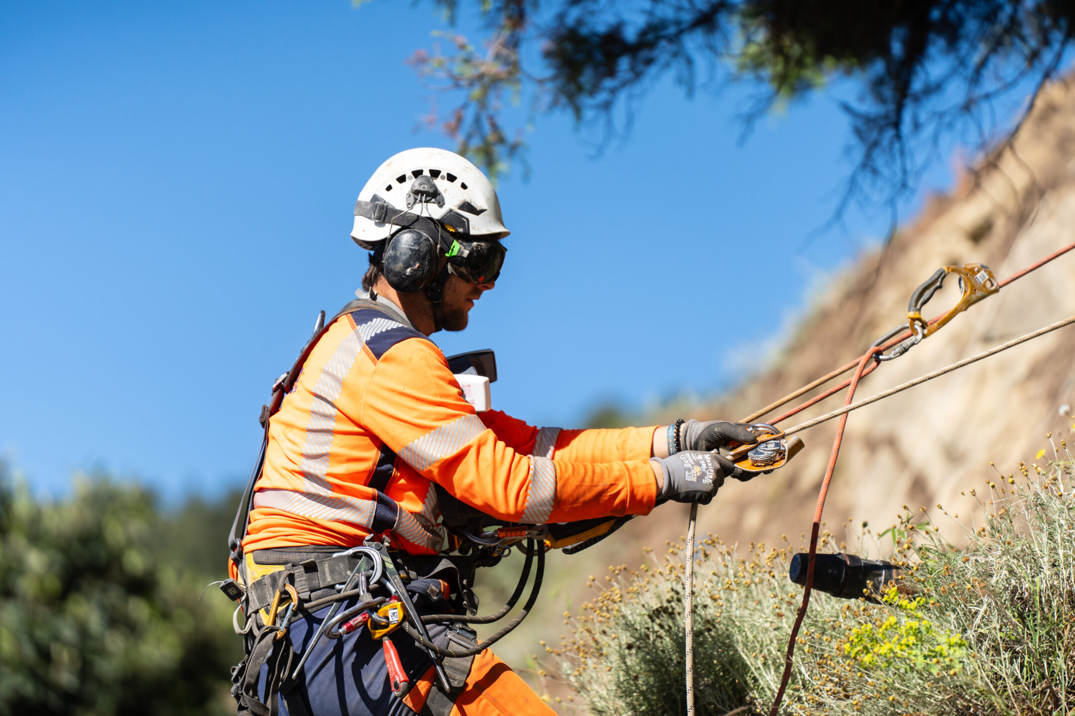 008_Jacques Wisdorff_A7408134